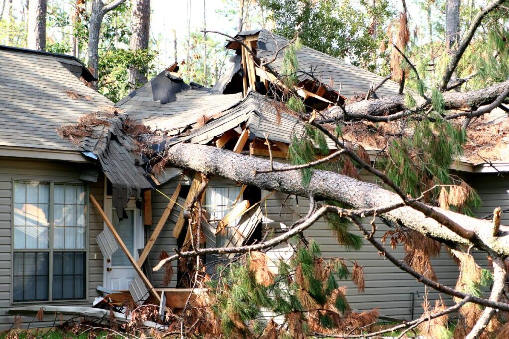 A large tree fallen on a house, causing significant damage to the roof and structure during a disaster.